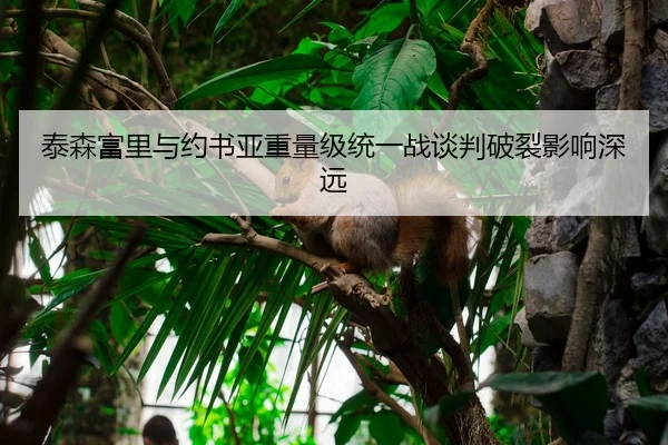 泰森富里与约书亚重量级统一战谈判破裂影响深远