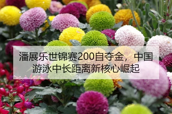 潘展乐世锦赛200自夺金，中国游泳中长距离新核心崛起