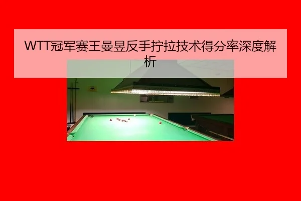 WTT冠军赛王曼昱反手拧拉技术得分率深度解析