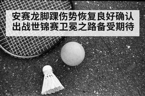 安赛龙脚踝伤势恢复良好确认出战世锦赛卫冕之路备受期待