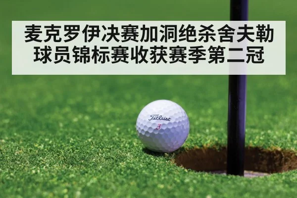 麦克罗伊决赛加洞绝杀舍夫勒 球员锦标赛收获赛季第二冠