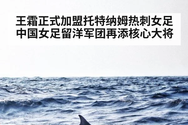 王霜正式加盟托特纳姆热刺女足 中国女足留洋军团再添核心大将