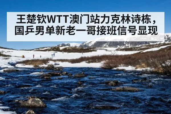 王楚钦WTT澳门站力克林诗栋,国乒男单新老一哥接班信号显现