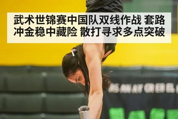 武术世锦赛中国队双线作战 套路冲金稳中藏险 散打寻求多点突破